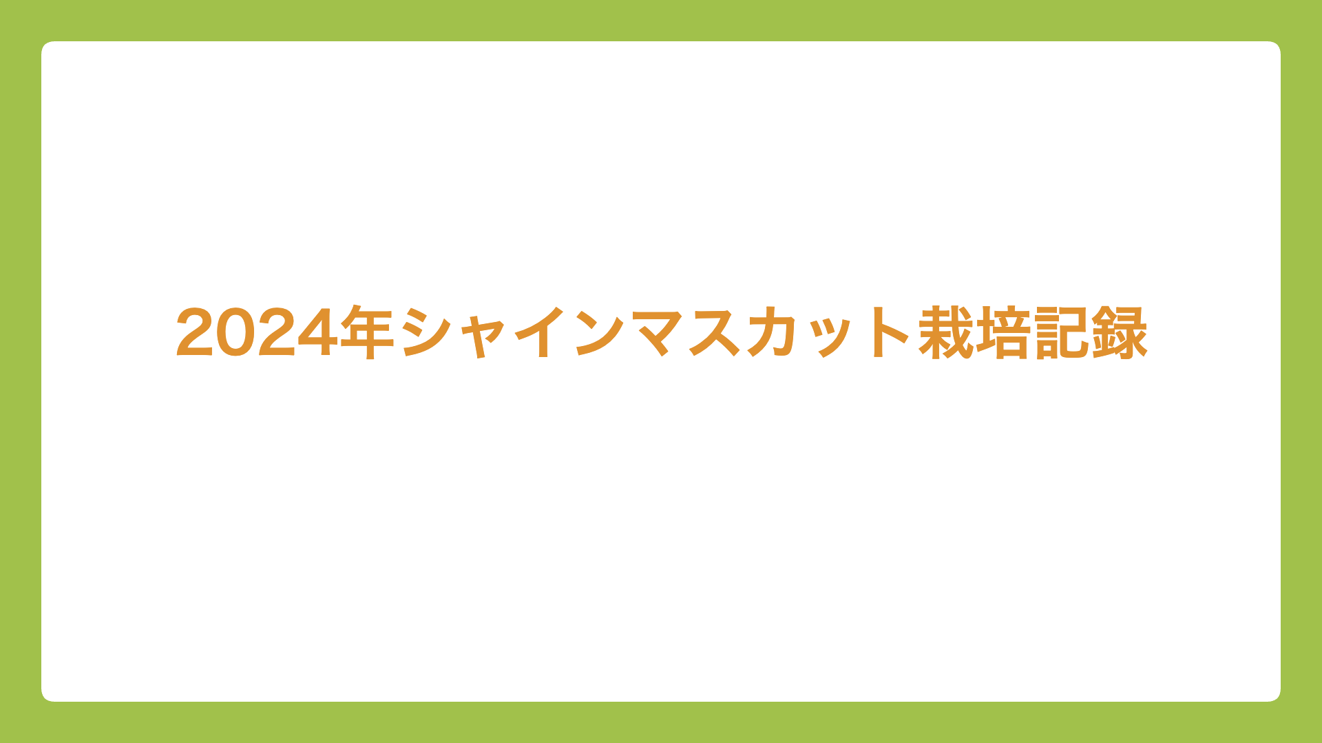 2024年「シャインマスカット」栽培記録(1年目)