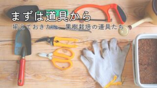 果樹栽培を始める前に揃えておきたい道具一覧